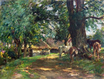 In the Shade by Mark Fisher